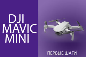 Mavic Mini for Dummies: Everything You Need to Know